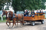 Carriage Fest 2011