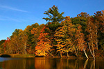 Fall Colors - Beaverton and Smallwood Lake 2014